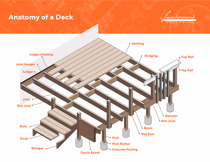 anatomydeck-thumb