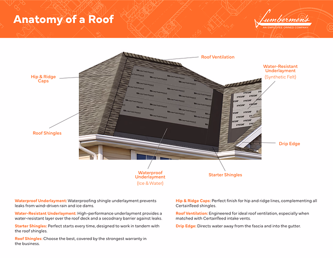 anatomyroof-thumb