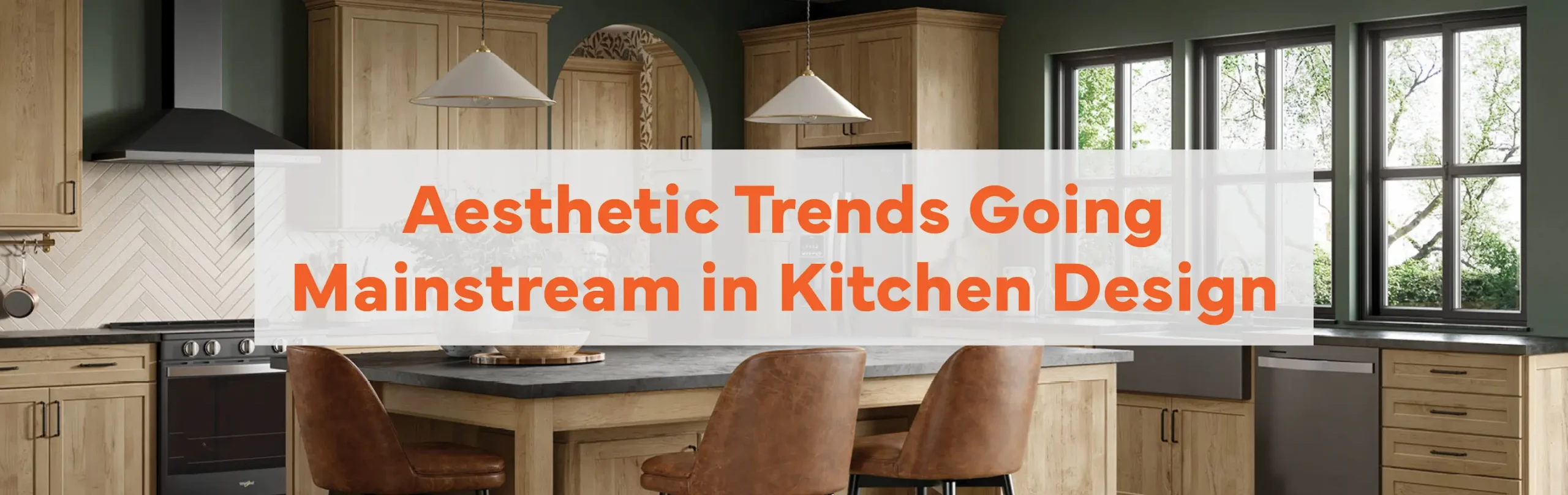 Aesthetic Trends blog header